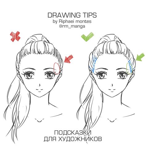 how to draw a ponytail from the front.